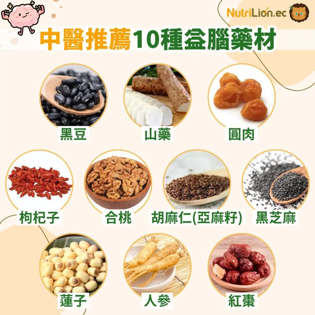 中醫推薦10種益腦藥材