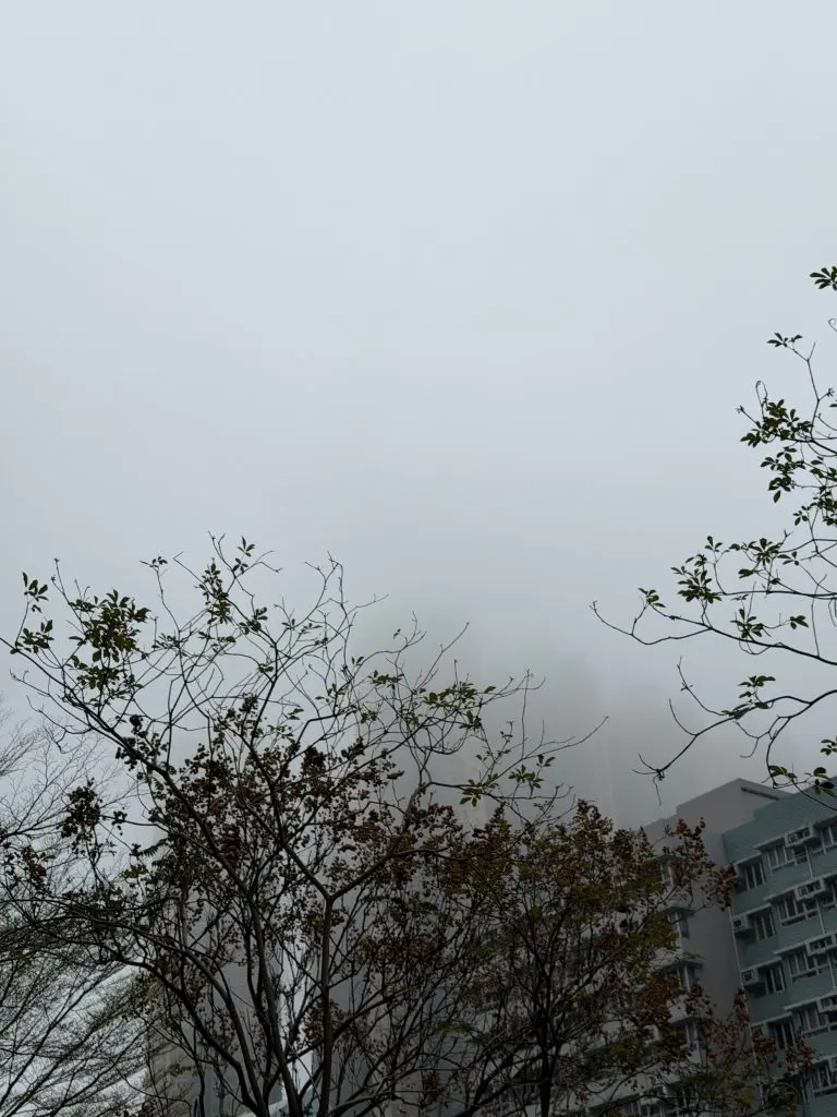 近日本港天氣潮濕多雨。(NutriLion.ec 圖片)