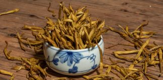 金針好處多多?一文看清金針的功效! 金針功效