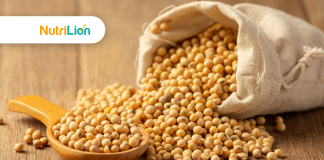 【納豆功效】食納豆有什麼禁忌和好處?納豆要這樣吃才有效! 納豆