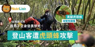 台北登山客遭虎頭蜂攻擊 2男子全身發黑慘死 台北登山客遭虎頭蜂攻擊