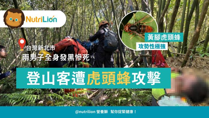 台北登山客遭虎頭蜂攻擊