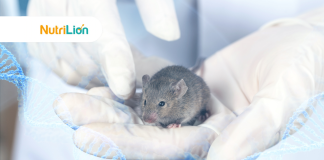 來自其他物種的細胞外奈米顆粒,逆轉老鼠生物年齡 50% 以上 逆轉年齡