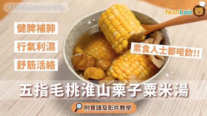 素湯食譜-五指毛桃粟米湯