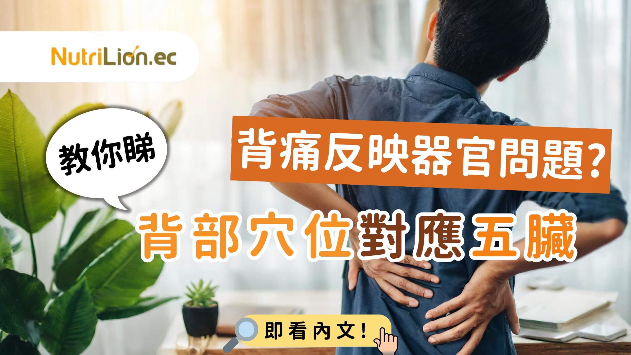 【背部經絡】背痛反映器官問題?教你睇背部穴位對應五臟! - NutriLion 營養獅